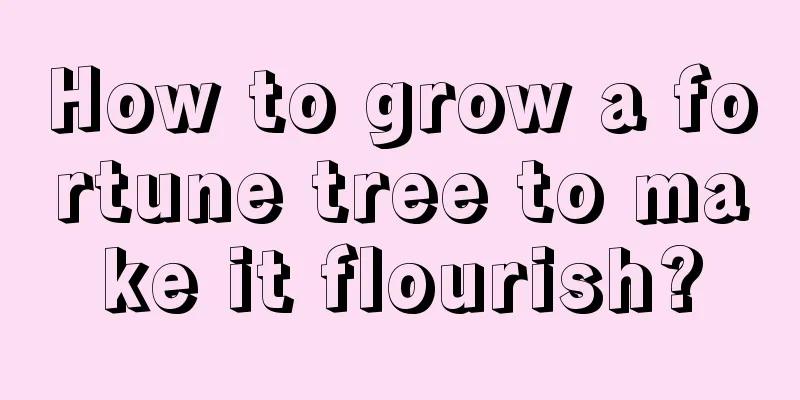 How to grow a fortune tree to make it flourish?