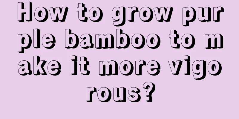 How to grow purple bamboo to make it more vigorous?