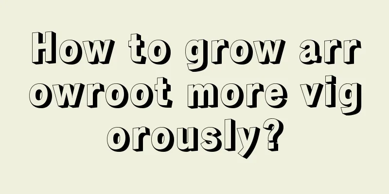 How to grow arrowroot more vigorously?