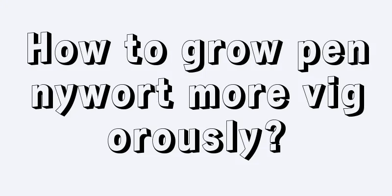 How to grow pennywort more vigorously?