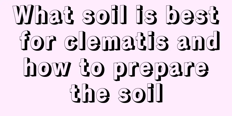 What soil is best for clematis and how to prepare the soil