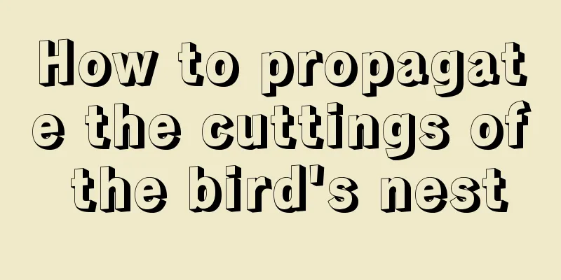 How to propagate the cuttings of the bird's nest