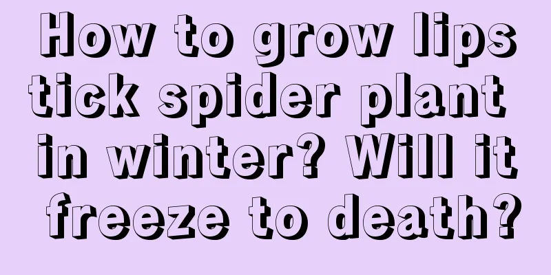 How to grow lipstick spider plant in winter? Will it freeze to death?