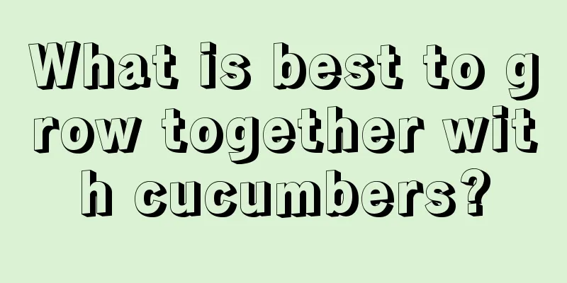 What is best to grow together with cucumbers?