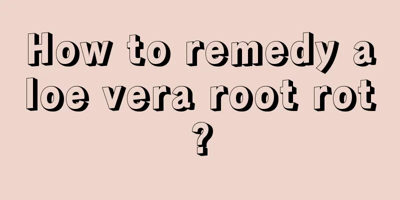 How to remedy aloe vera root rot?