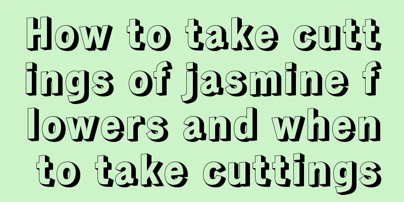 How to take cuttings of jasmine flowers and when to take cuttings