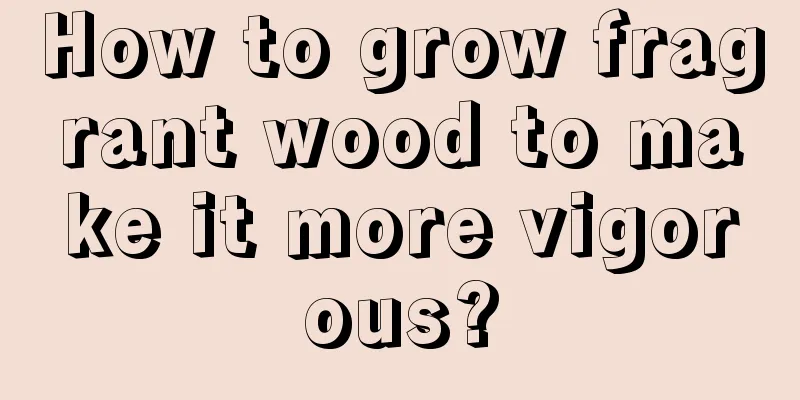 How to grow fragrant wood to make it more vigorous?