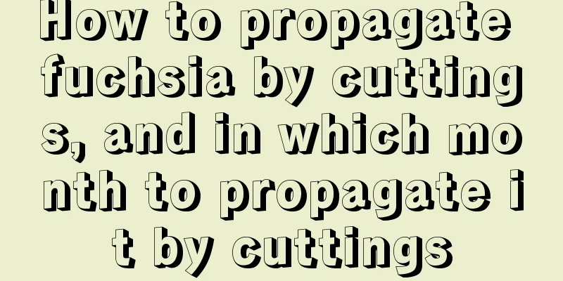 How to propagate fuchsia by cuttings, and in which month to propagate it by cuttings