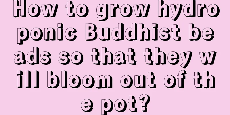 How to grow hydroponic Buddhist beads so that they will bloom out of the pot?