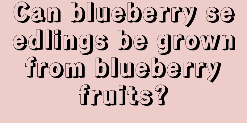 Can blueberry seedlings be grown from blueberry fruits?