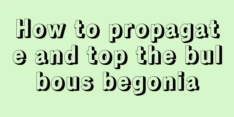 How to propagate and top the bulbous begonia