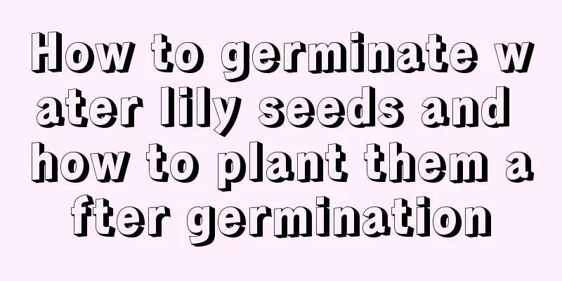 How to germinate water lily seeds and how to plant them after germination