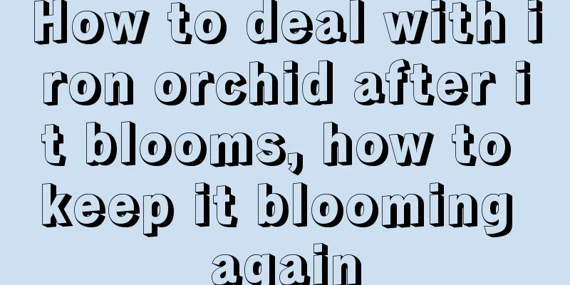 How to deal with iron orchid after it blooms, how to keep it blooming again