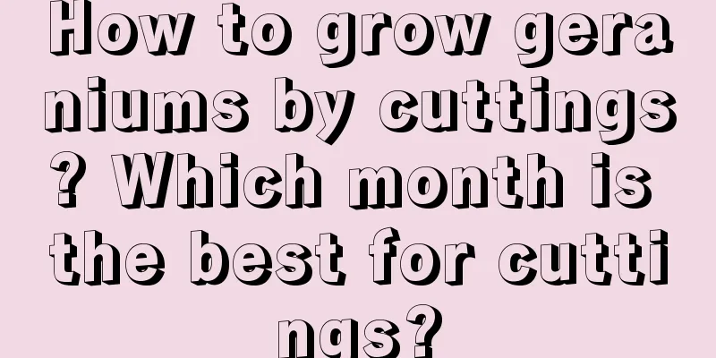 How to grow geraniums by cuttings? Which month is the best for cuttings?