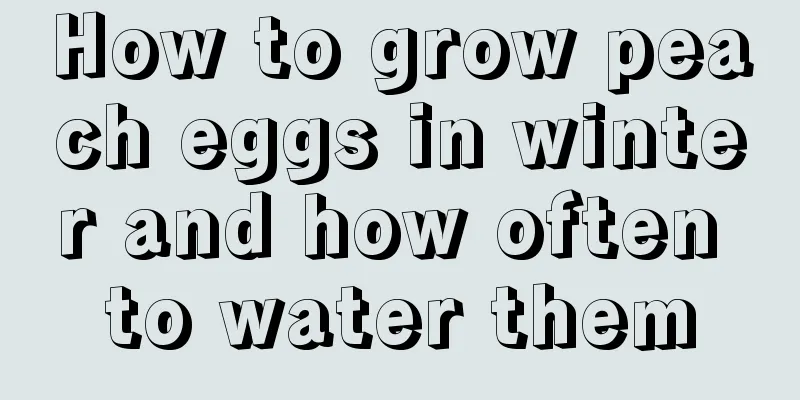 How to grow peach eggs in winter and how often to water them