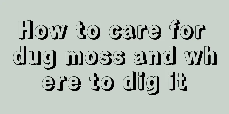 How to care for dug moss and where to dig it