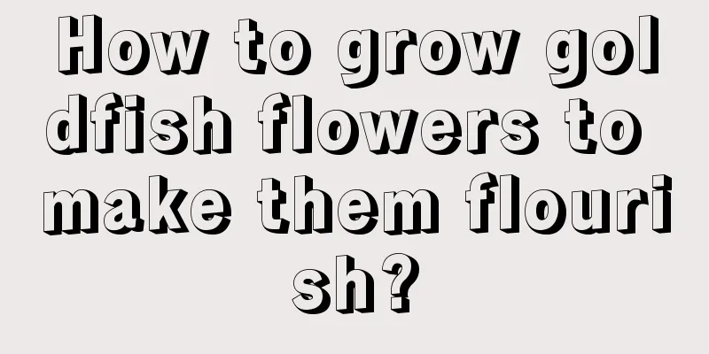 How to grow goldfish flowers to make them flourish?