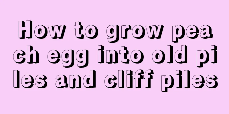 How to grow peach egg into old piles and cliff piles