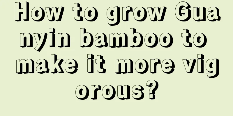 How to grow Guanyin bamboo to make it more vigorous?