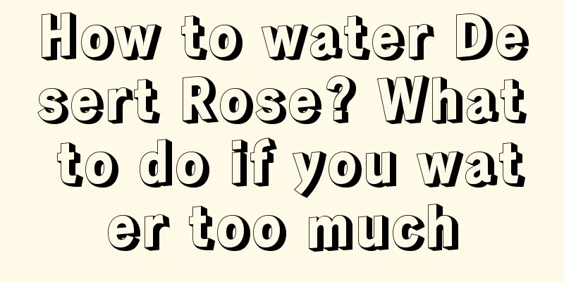 How to water Desert Rose? What to do if you water too much