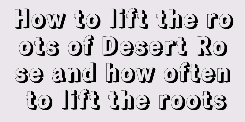 How to lift the roots of Desert Rose and how often to lift the roots