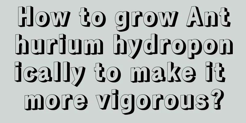 How to grow Anthurium hydroponically to make it more vigorous?