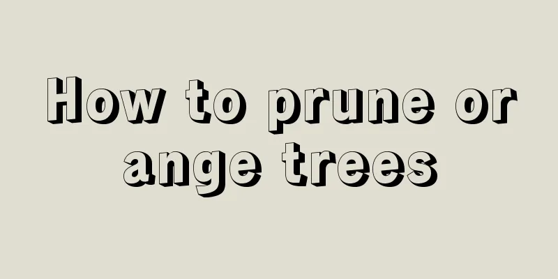 How to prune orange trees