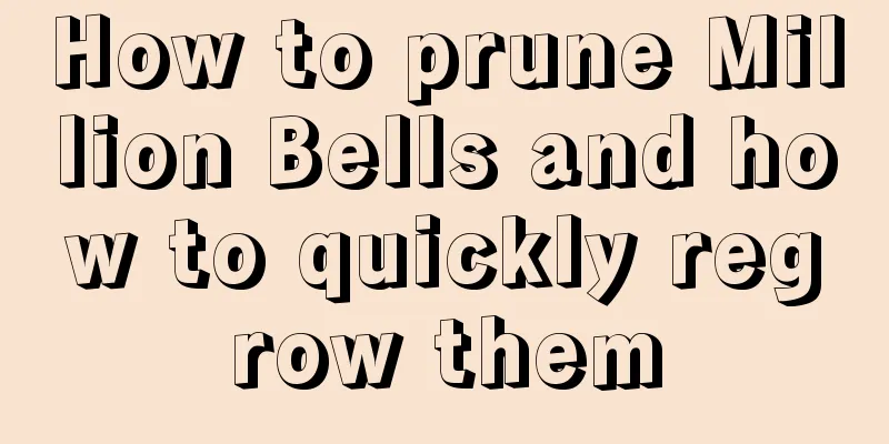 How to prune Million Bells and how to quickly regrow them