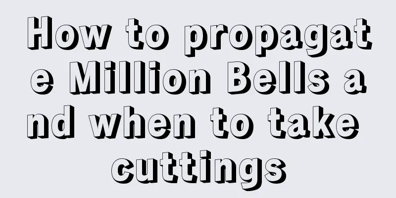 How to propagate Million Bells and when to take cuttings