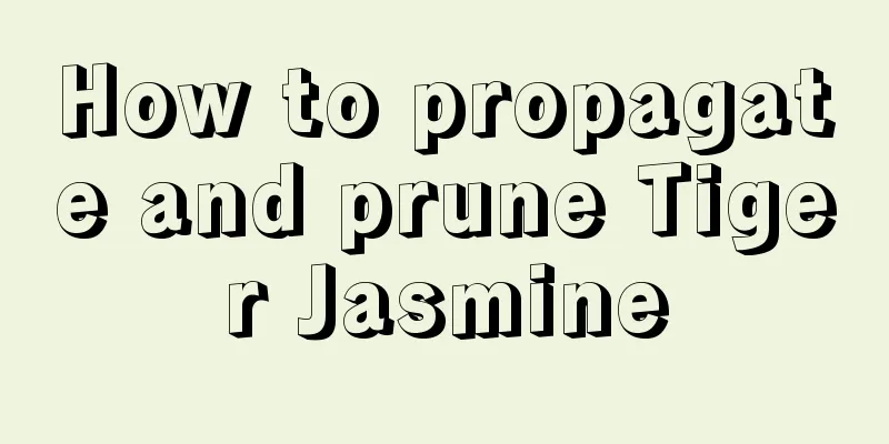 How to propagate and prune Tiger Jasmine