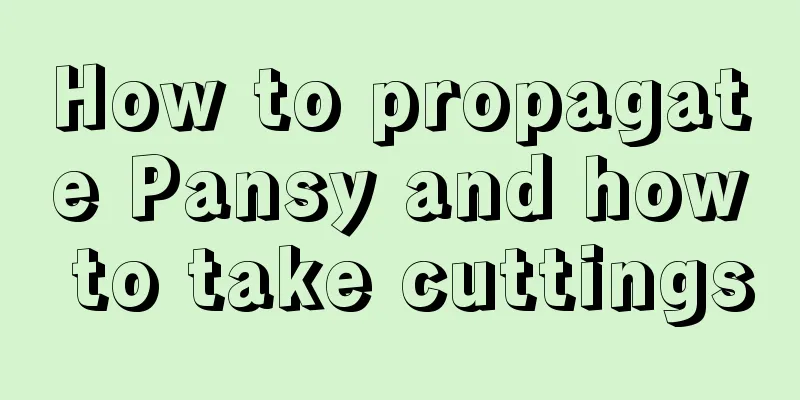 How to propagate Pansy and how to take cuttings