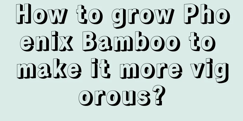 How to grow Phoenix Bamboo to make it more vigorous?