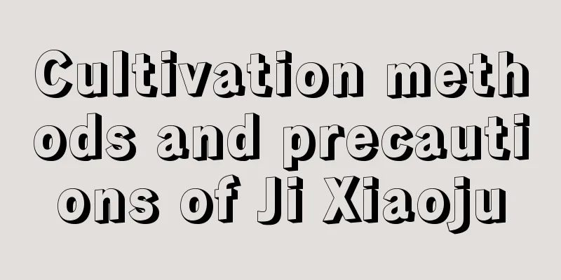 Cultivation methods and precautions of Ji Xiaoju