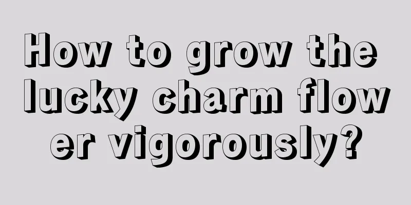 How to grow the lucky charm flower vigorously?