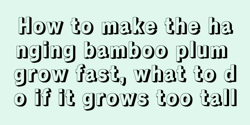 How to make the hanging bamboo plum grow fast, what to do if it grows too tall