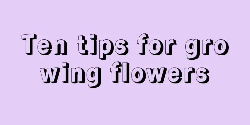 Ten tips for growing flowers