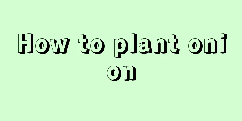 How to plant onion