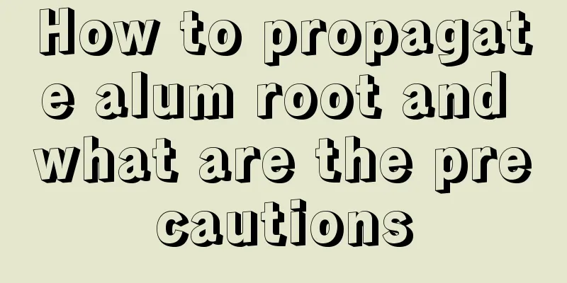 How to propagate alum root and what are the precautions