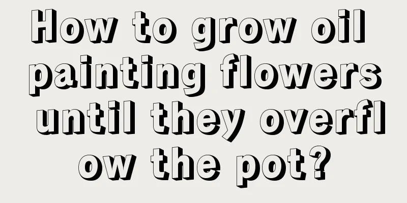 How to grow oil painting flowers until they overflow the pot?