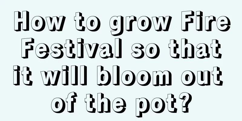 How to grow Fire Festival so that it will bloom out of the pot?