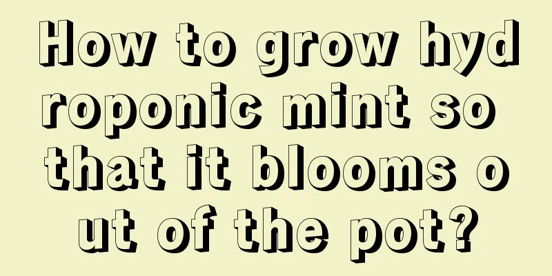 How to grow hydroponic mint so that it blooms out of the pot?