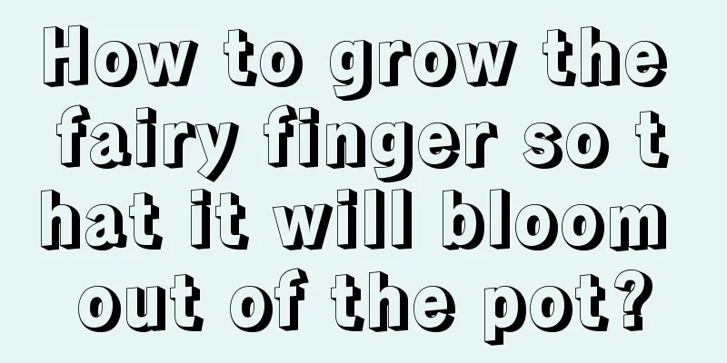 How to grow the fairy finger so that it will bloom out of the pot?