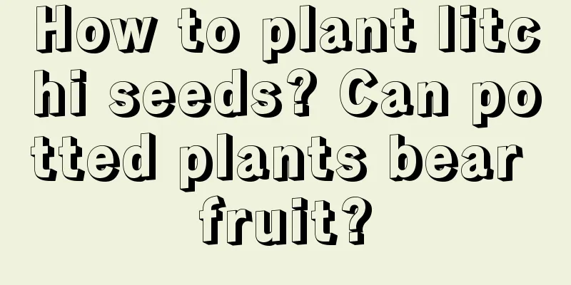 How to plant litchi seeds? Can potted plants bear fruit?