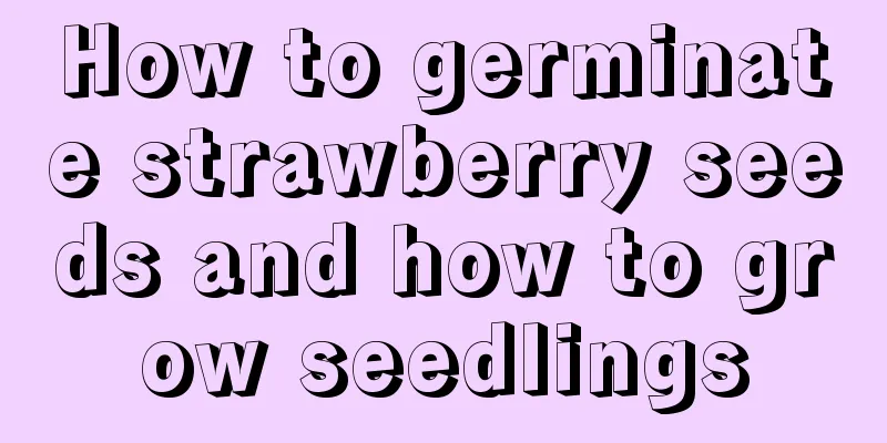 How to germinate strawberry seeds and how to grow seedlings