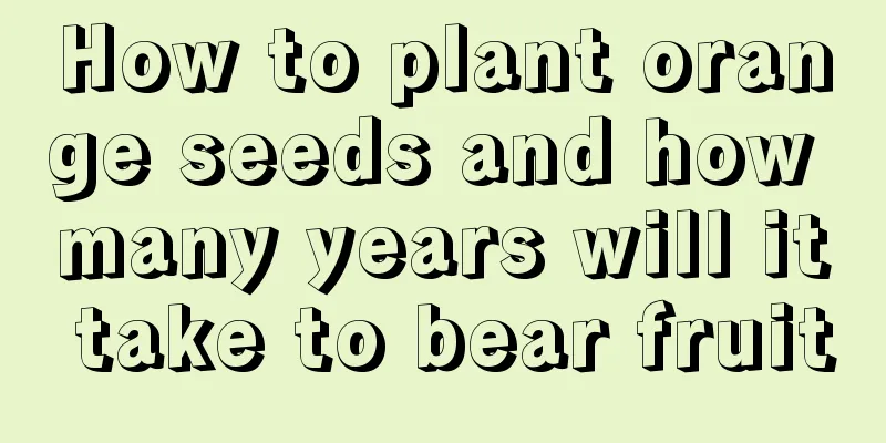 How to plant orange seeds and how many years will it take to bear fruit