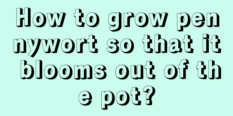 How to grow pennywort so that it blooms out of the pot?