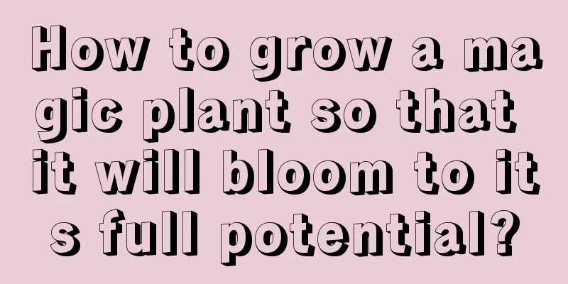 How to grow a magic plant so that it will bloom to its full potential?