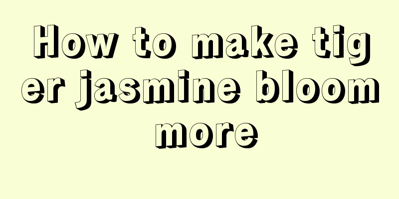 How to make tiger jasmine bloom more