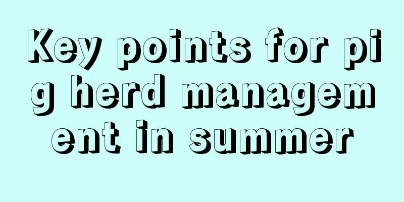 Key points for pig herd management in summer