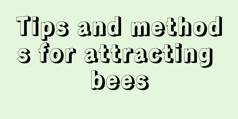 Tips and methods for attracting bees